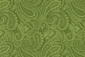 Complements Paisley Green