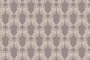 Owls on Latte  6005 91